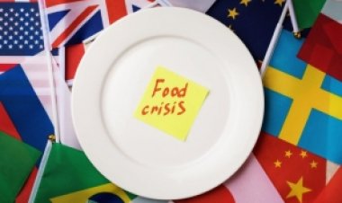 Alemania advierte que la futura crisis alimentaria es causada por los líderes de la UE debido al embargo petrolero