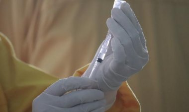 Veinte vacunas en una sola inyección: el proyecto de Pfizer para revolucionar la vacunación en niños