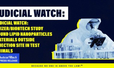 Los estudios Pfizer muestran nanopartículas lipídicas (LNP) fuera del lugar de la inyección, principalmente en hígado, glándulas suprarrenales, bazo y ovarios.