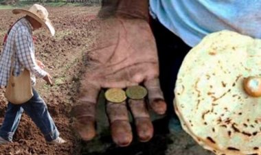 Cinco señales de que los gobiernos están creando una crisis alimentaria