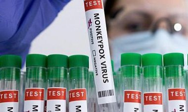 BOMBAZO - Que dice CDC de la VIRUELA DEL MONO