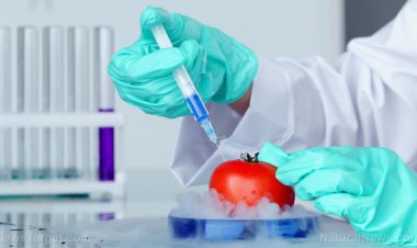 Gran Bretaña usa el conflicto de Ucrania como excusa