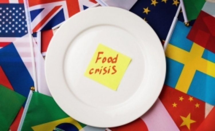 Alemania advierte que la futura crisis alimentaria es causada por los líderes de la UE debido al embargo petrolero
