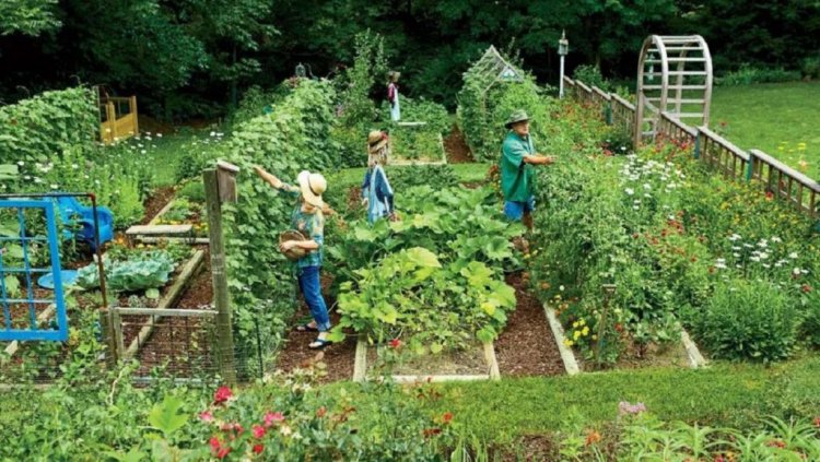 Australia aprueba una ley que prohíbe cultivar tus propios alimentos