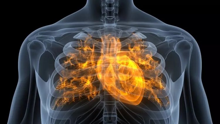 LOS MENTIROSOS NOS DICEN AHORA QUE LA GRIPE ATACA AL CORAZÓN...