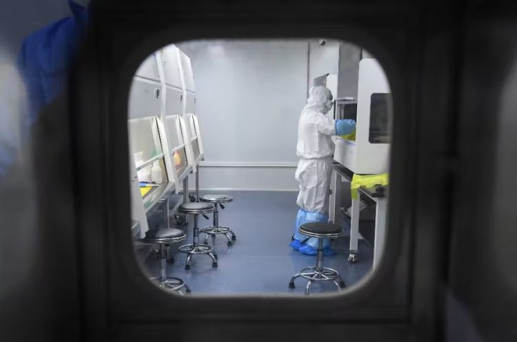BOMBAZO - Las nanorredes inyectadas podrían contener rellenos patógenos liberados por ondas electromagnéticas