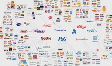 El nuevo sistema alimentario controlado ya está en marcha