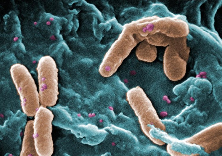 Sanidad retira unos lotes de test de antígenos