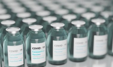 Decisión histórica de un tribunal italiano