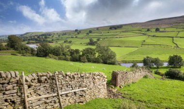 El gobierno británico ofrece a los agricultores pagos de "suma global" para dejar de cultivar alimentos y vender sus tierras