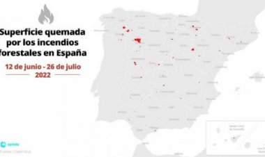 Los incendios remiten en España tras dejar atrás 225.000 hectáreas calcinadas