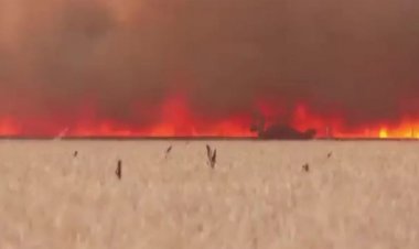 ¿Existe una relación entre los incendios forestales de España y la Agenda 2030 de la ONU?