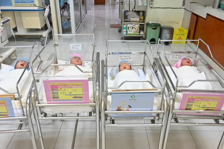 Entrada masiva de bebés sin sistema inmunitario
