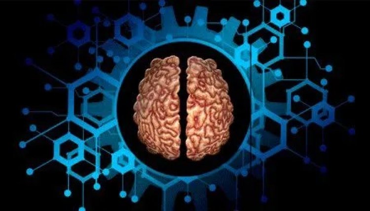 Quieren controlar la mente a través de la neuromodulación