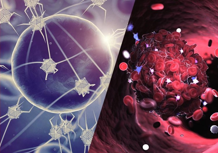 Las bioestructuras de coágulos de la vacuna autoensamblables cosechan metales conductores de su sangre