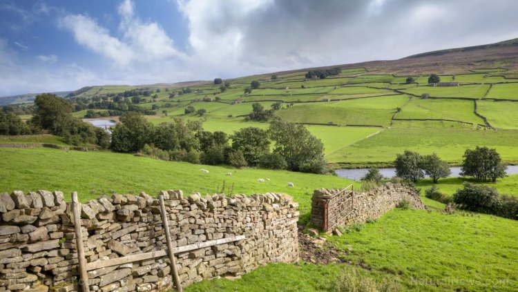 El gobierno británico ofrece a los agricultores pagos de "suma global" para dejar de cultivar alimentos y vender sus tierras