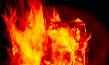 Combustión espontánea de plantas de alimentos: ¿por qué se queman docenas de instalaciones de procesamiento?