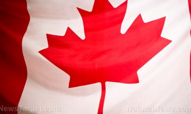 Los solicitantes de empleo sean COMPLETAMENTE VAXXED