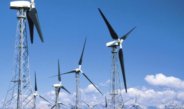 Escocia corta 14 MILLONES de árboles para construir nuevos parques eólicos en el último fiasco del lavado verde