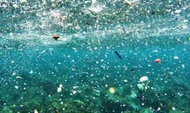 Microplásticos y otras micropartículas en el mar