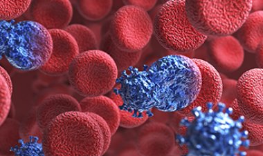 SIDA otro virus invisible