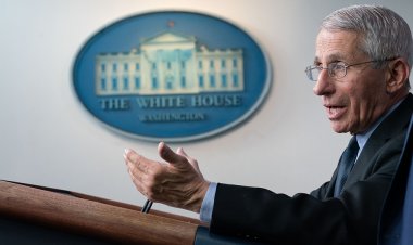 Fauci renunciará al gobierno después de más de cinco décadas de asesinar a personas en nombre de la "ciencia"