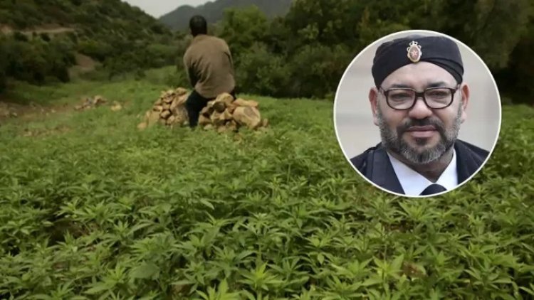 Marruecos es el mayor productor y exportador mundial de hachís