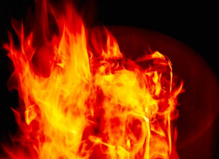 Combustión espontánea de plantas de alimentos: ¿por qué se queman docenas de instalaciones de procesamiento?