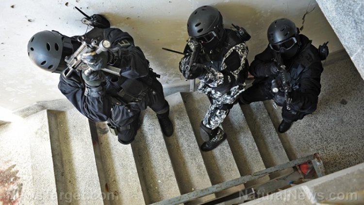 Francia desatará un ejército de "policía verde" con brigadas armadas para perseguir "delitos ambientales"