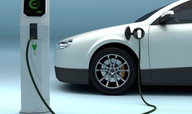 ESTAFA DE AUTOS ELÉCTRICOS