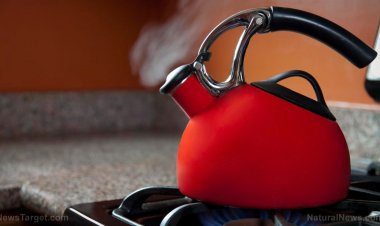 Los "verdes" climáticos van tras el gas natural, quieren que se elimine de los hogares de todo el país