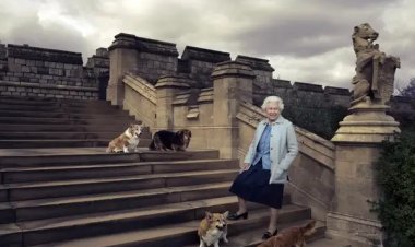 Susan, la primera mascota de Isabel II cuya familia siempre le acompañó