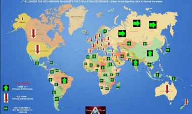 Aumento aterrador de la Mortalidad desde la introducción de la VACUNA COVID