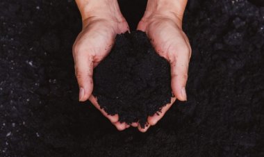 Convertir cuerpos humanos en tierra de jardín