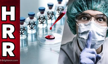 BOMBAZO - Plum Island resurge