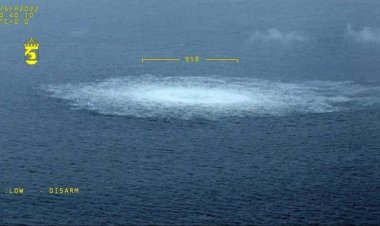 ¡Europa debe saber la verdad!