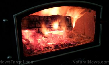 Europeos desesperados queman ÁRBOLES por calor tras la destrucción de los oleoductos de Nord Stream