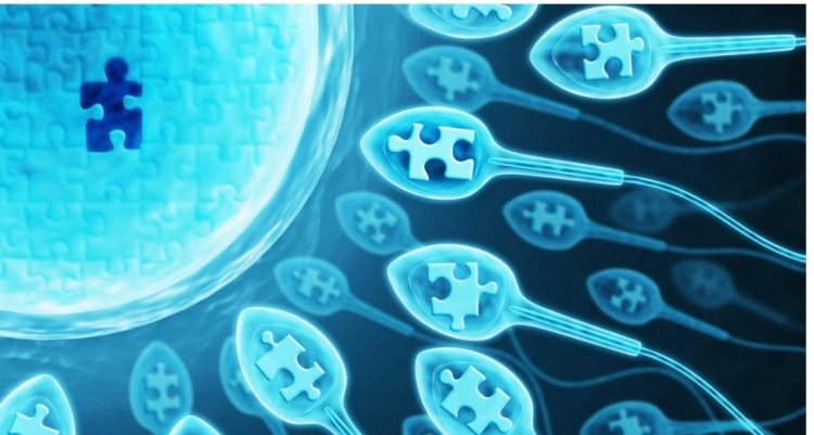 Daños comprobados en el esperma masculino