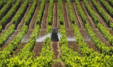 Están destruyendo la producción de alimentos por objetivos climáticos