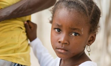 Alimentados con termitas y gusanos