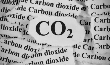 Rastreando las emisiones de carbono de sus clientes