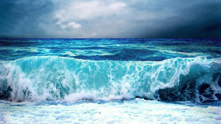 Los niveles de CO2 no tienen nada que ver con las temperaturas globales
