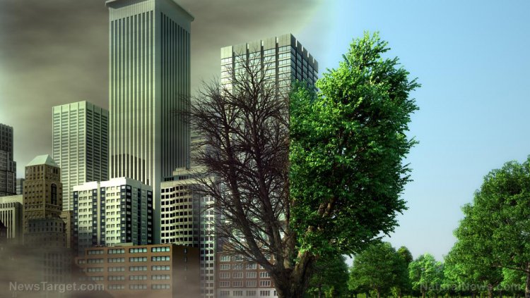 IMPUESTO GLOBAL AL CARBONO