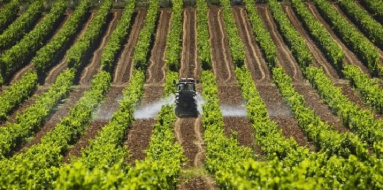 Están destruyendo la producción de alimentos por objetivos climáticos