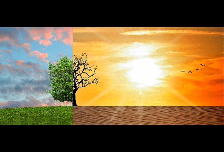 Quieren tapar el sol