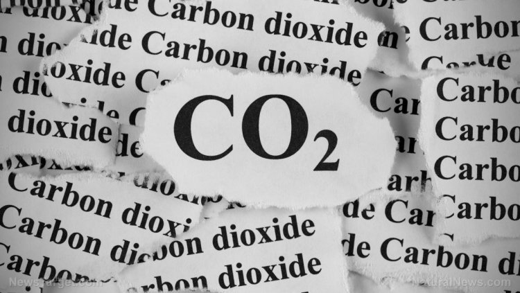 Rastreando las emisiones de carbono de sus clientes