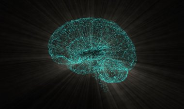 Implantar microchips de seguimiento en humanos