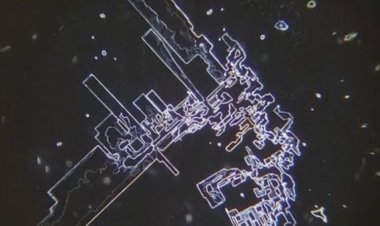 Nanotecnologia en las vacunas Covid 19 - Y lo siguen negando!!!!