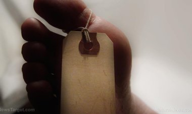 GENOCIDIO EN CÁMARA LENTA
