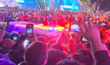 Avalanchas o estampidas